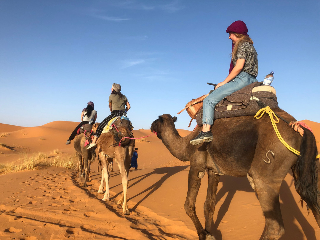 Camel Trekking景点图片