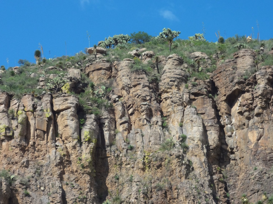 Presa Guadalupe Victoria