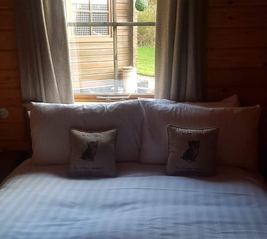 The Steadings & Beech Lodge Log Cabin主图