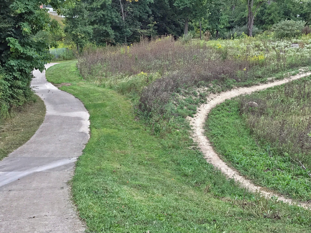 Medina旅游景点-Austin Badger Park