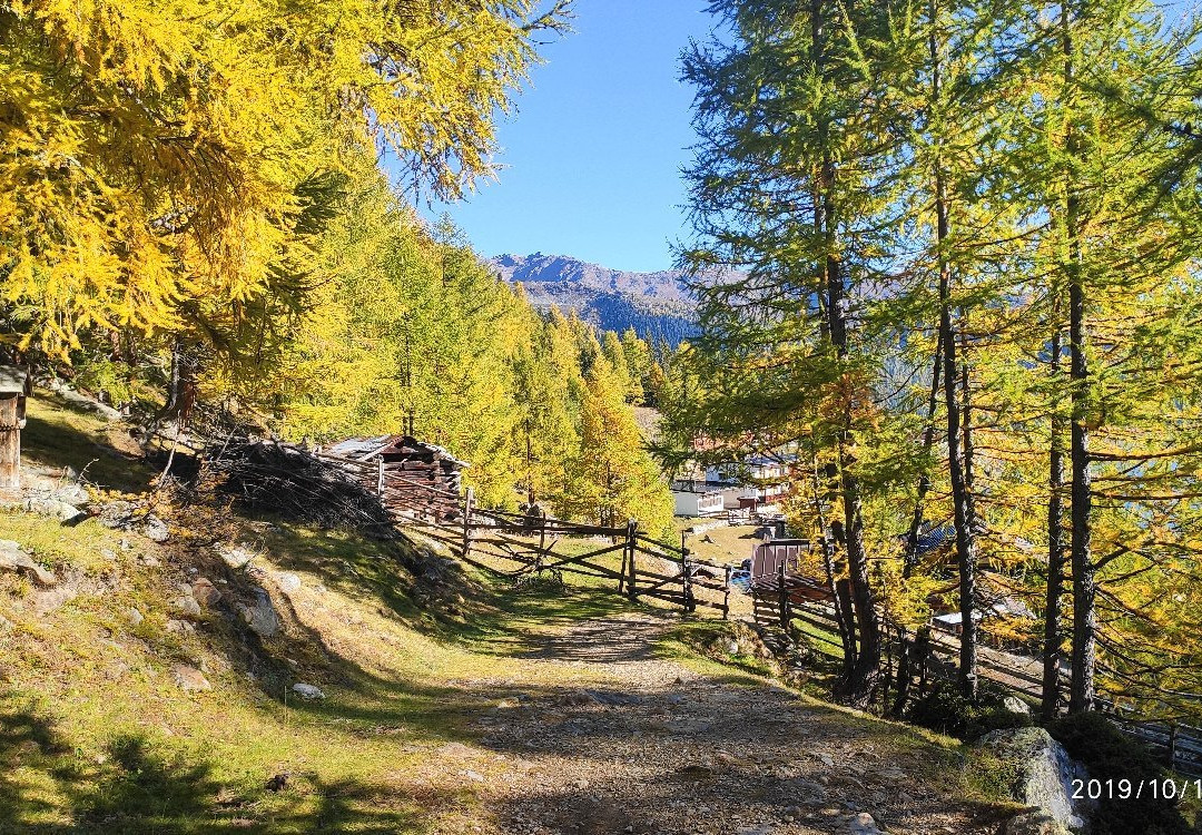 Escursione al Rifugio Canziani al Lago Verde-Ultimo必去景点