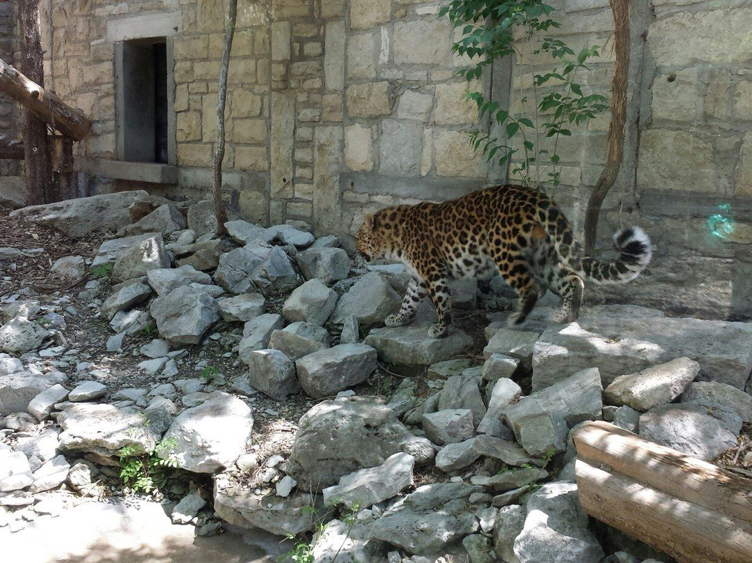 Sunset Zoo-曼哈顿必去景点