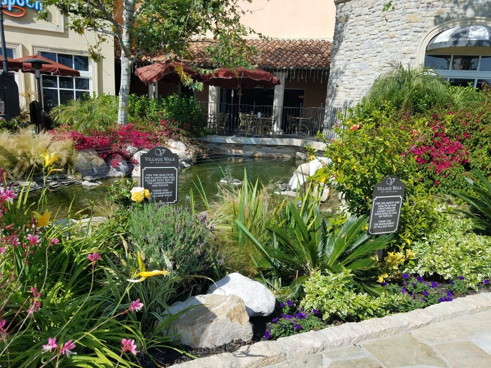 Village Walk at Eastlake