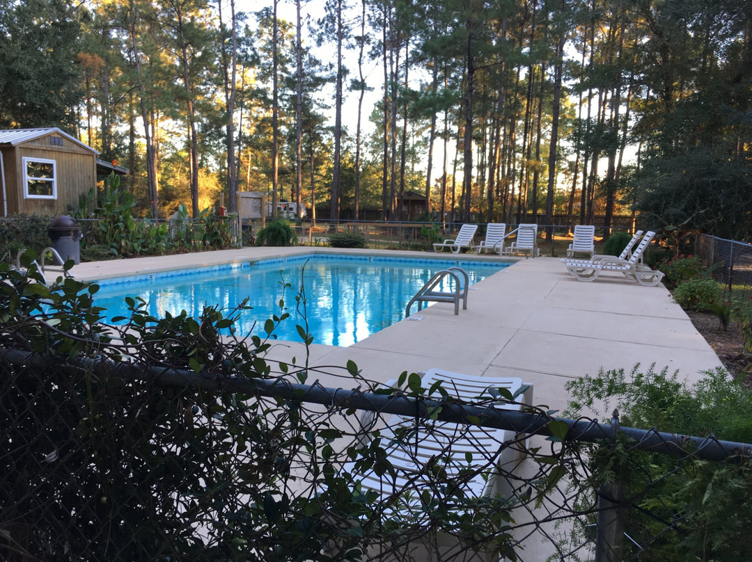 Jellystone Park Camp-Resort of the Alabama Gulf Coast