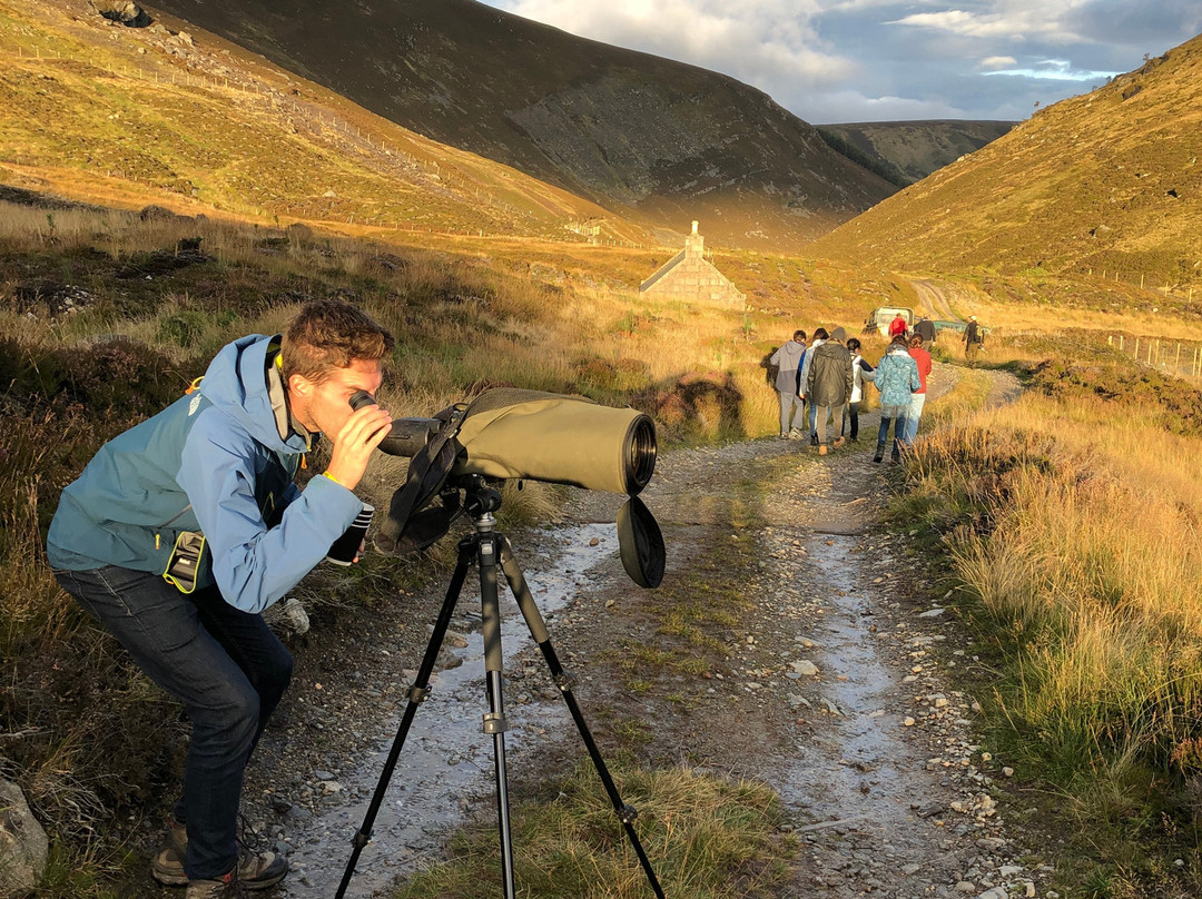 Glenesk Wildlife-Glenesk必去景点