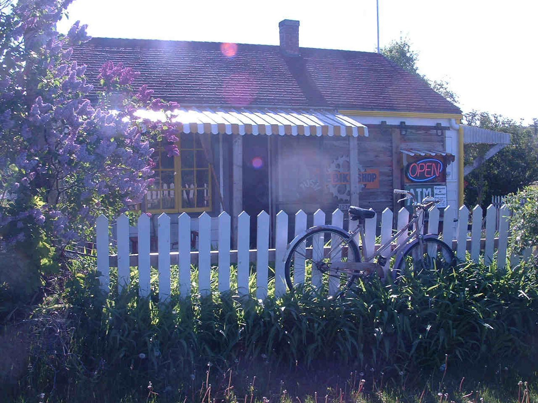 The Bike Shop景点图片