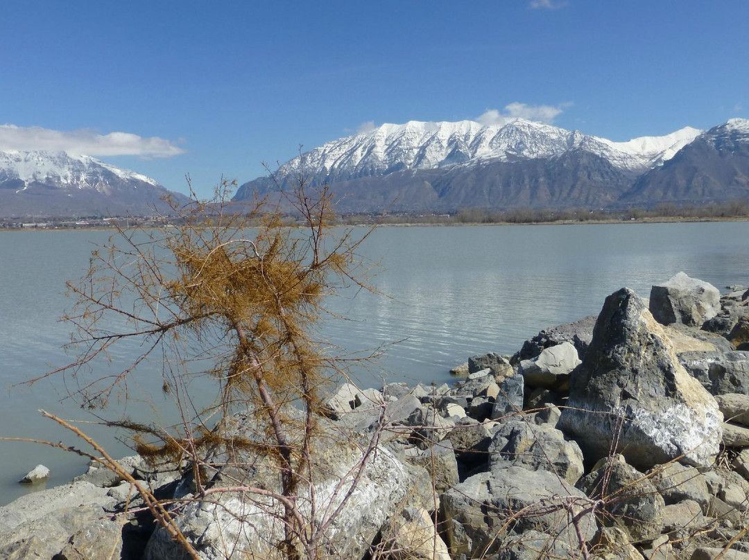 Utah Lake State Park景点图片