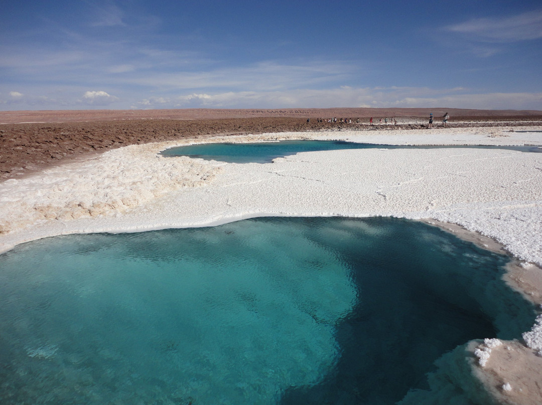 Retur Expediciones-圣佩德罗-德阿塔卡马必去景点
