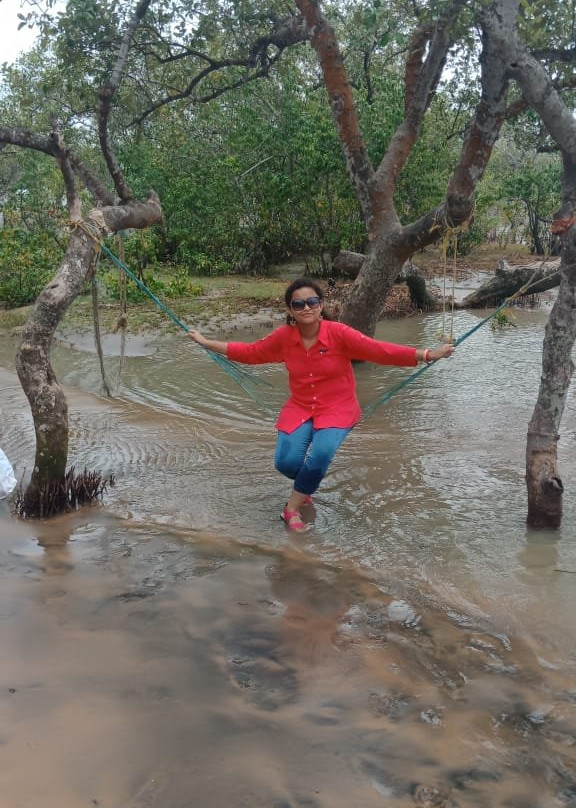 Bichitrapur Mangrove Reserve景点图片