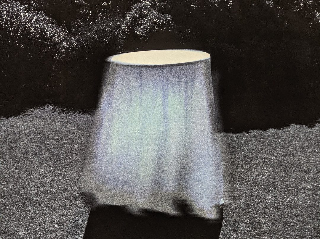 Manly Art Gallery and Museum-曼利议会必去景点