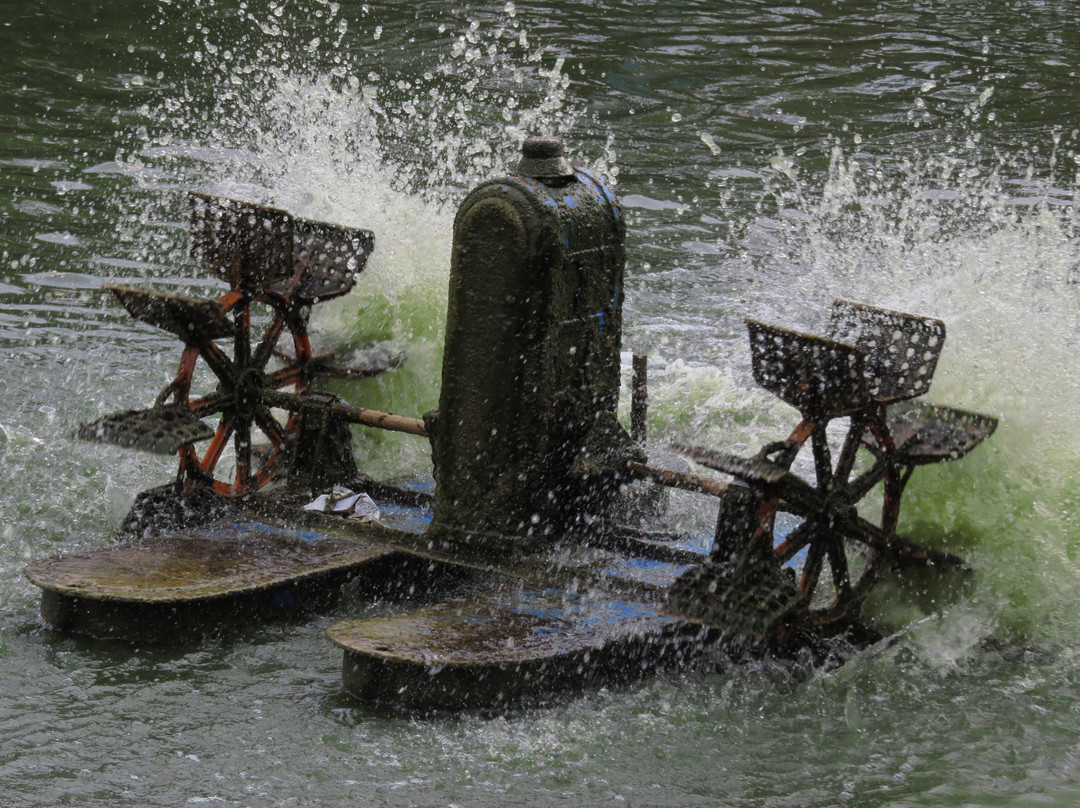 Petah Tikva Zoo-Petah Tiqwa必去景点