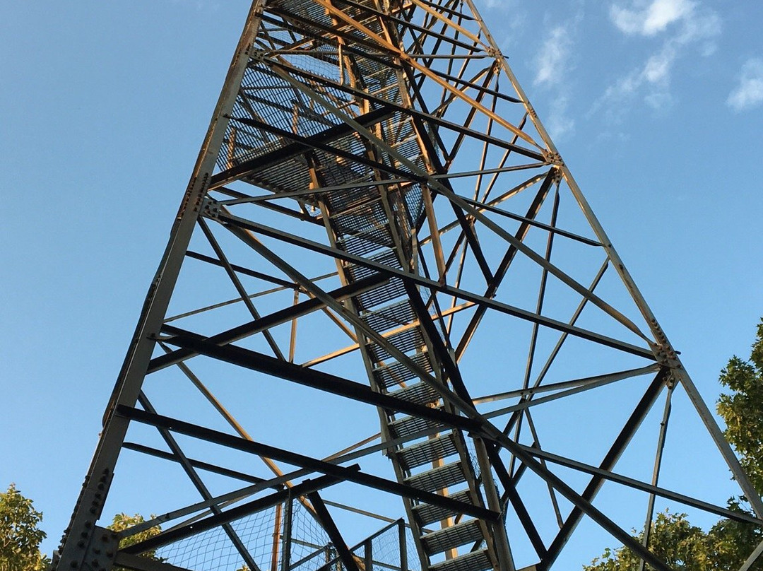 Ferncliff Forest-Rhinebeck必去景点