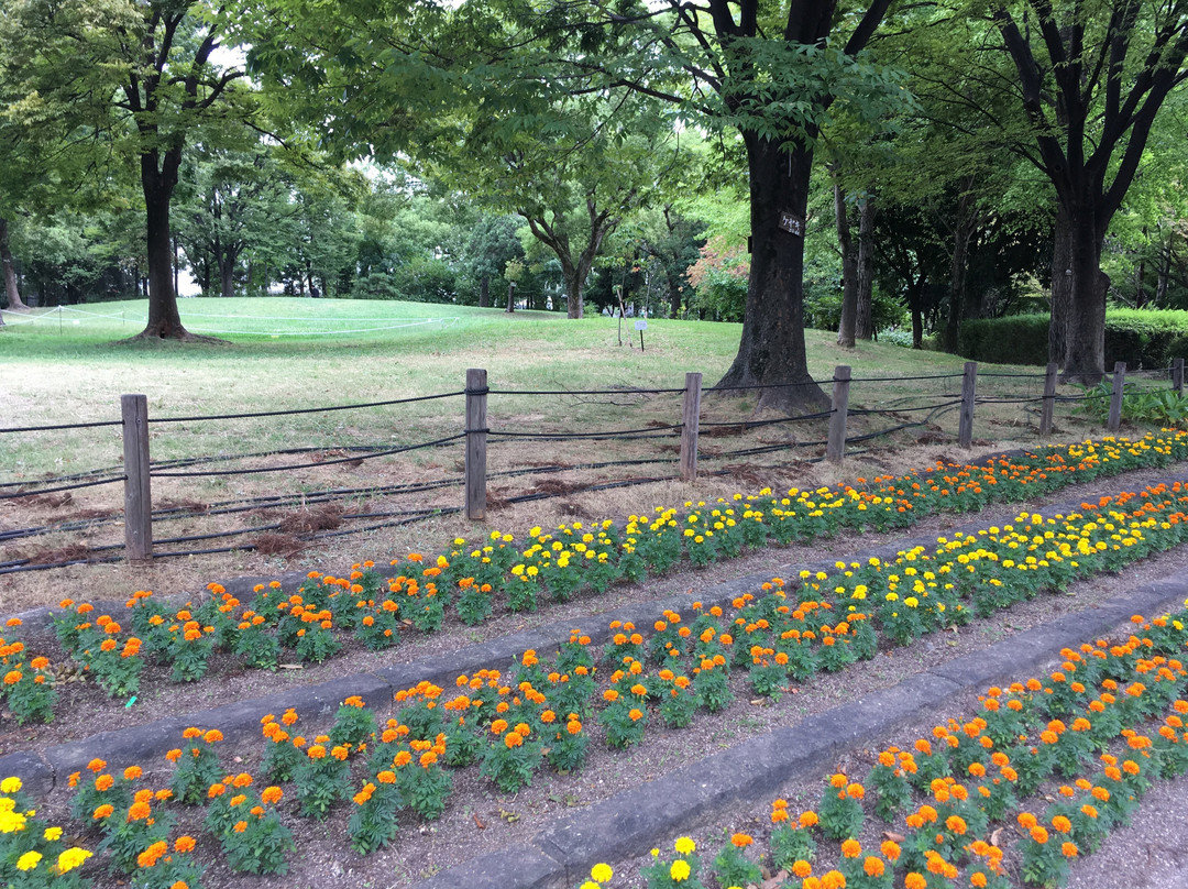 Kamisakabenishi Park-尼崎市必去景点