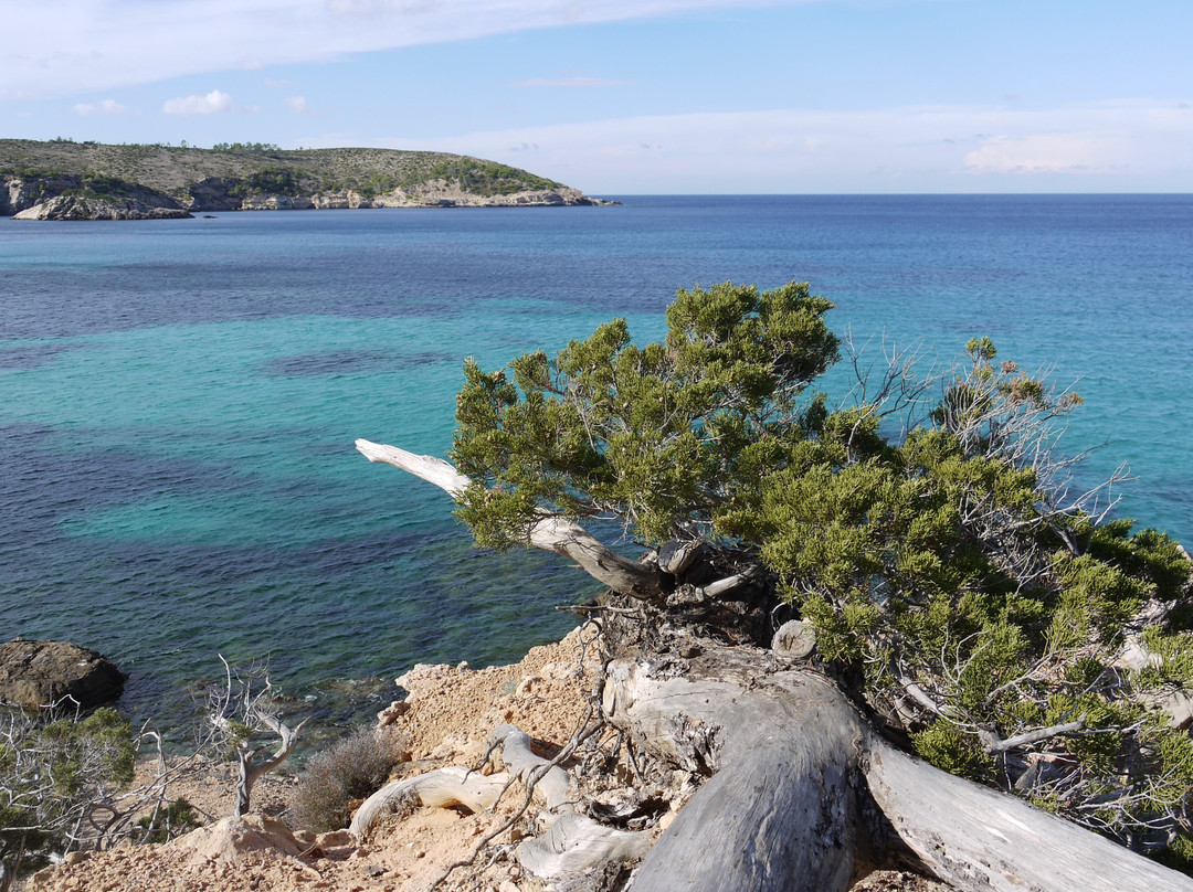 Cala S'Illot des Rencli景点图片