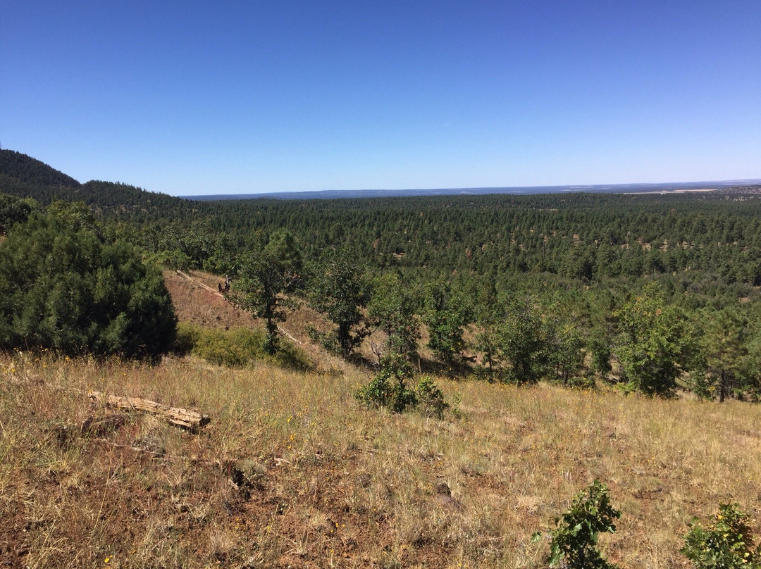 Panorama Trail-Pinetop-Lakeside必去景点