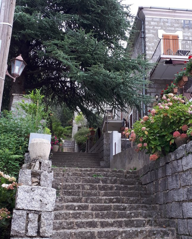 Hotel la Terrasse主图