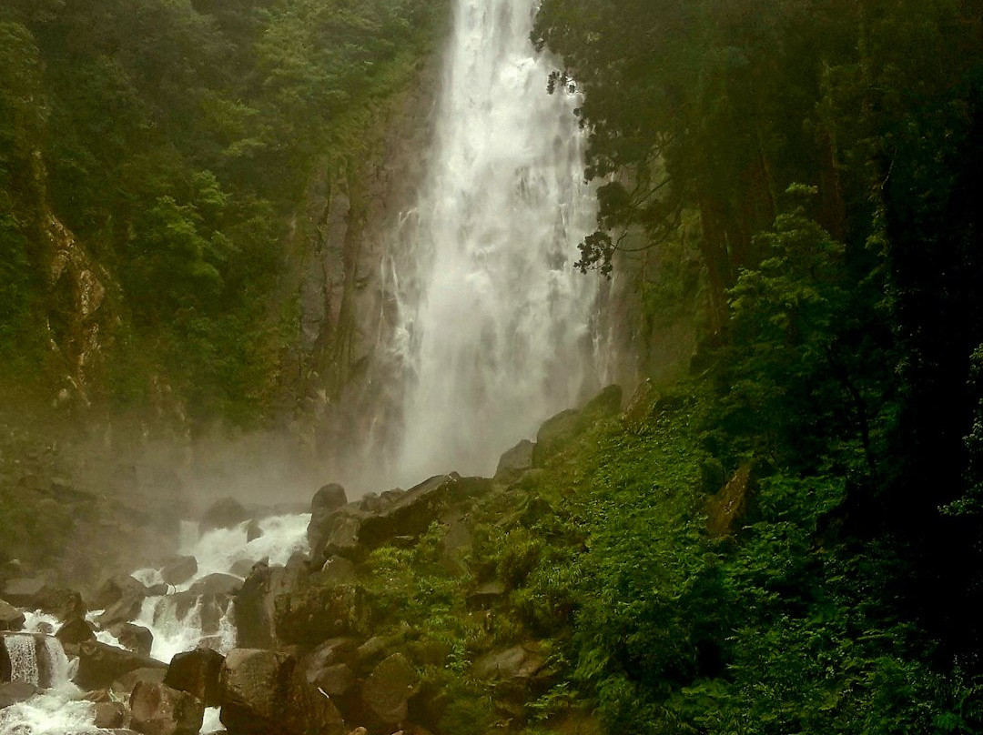 Nachi Mitaki Falls景点图片