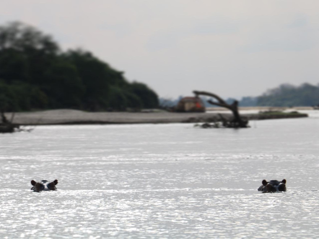 Naza's Tanzania Safari-Dar es Salaam必去景点