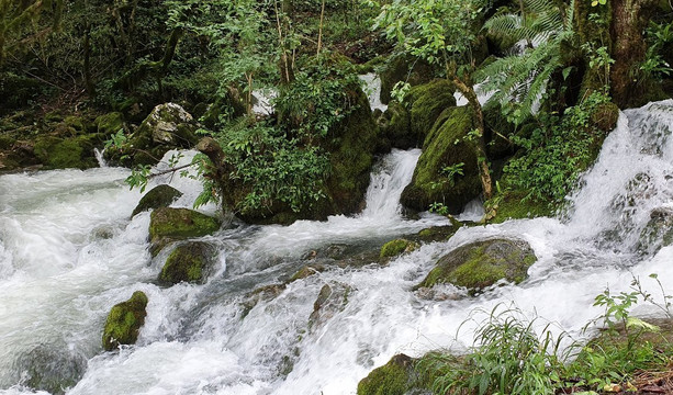 phoenix tours georgia / tbilisi-第比利斯必去景点