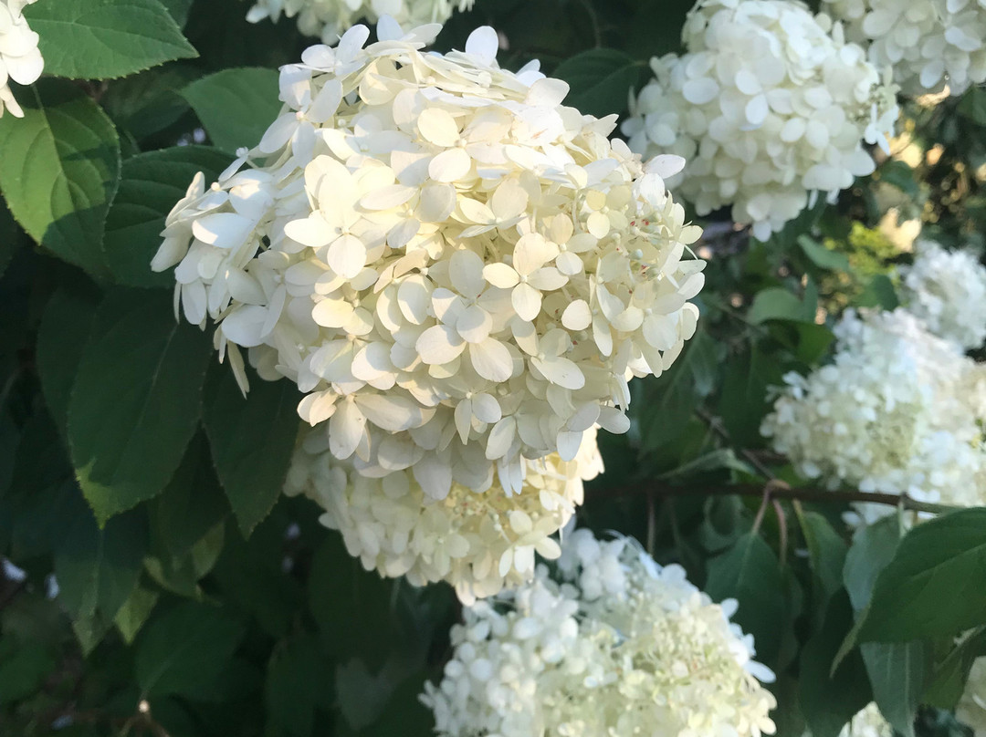 Gardens of Hope-New Glasgow必去景点