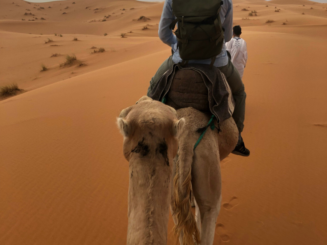 Ronda in Marrakech-Marrakech Phototours景点图片