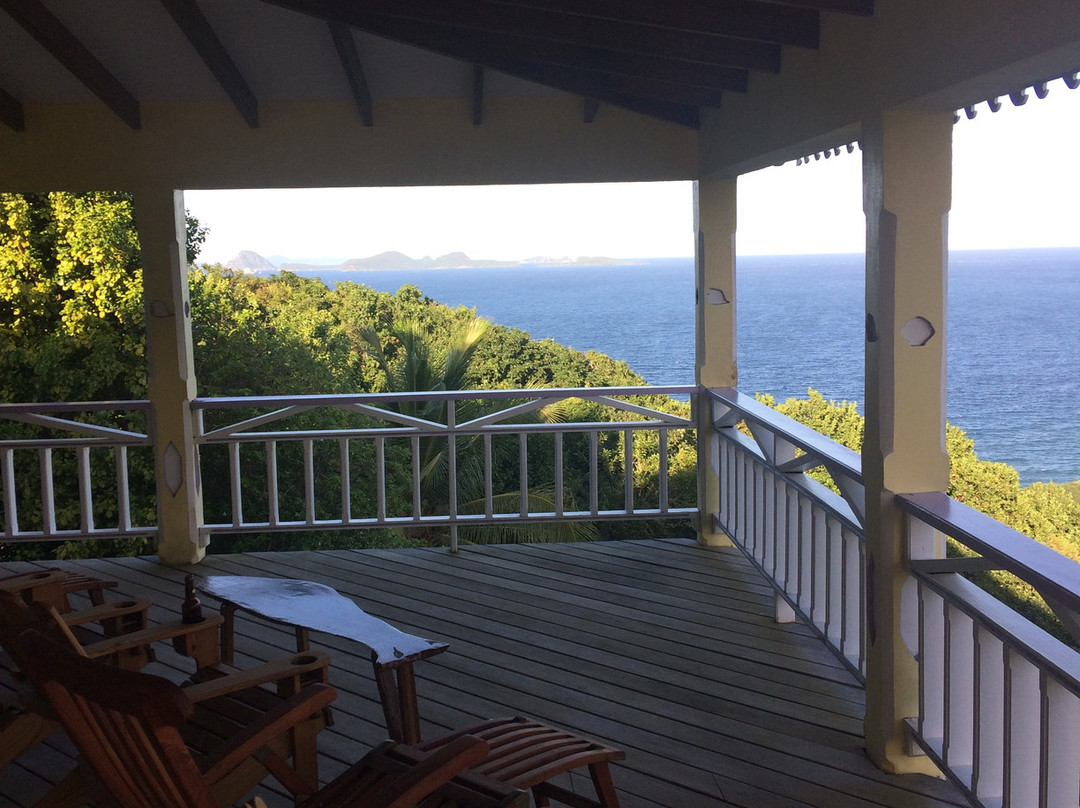 Treetops Villa Guest House主图