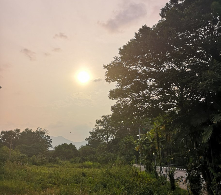 Taman D.R Seenivasagam-怡保必去景点