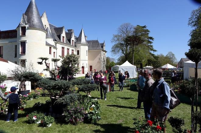 Chateau de Cange景点图片