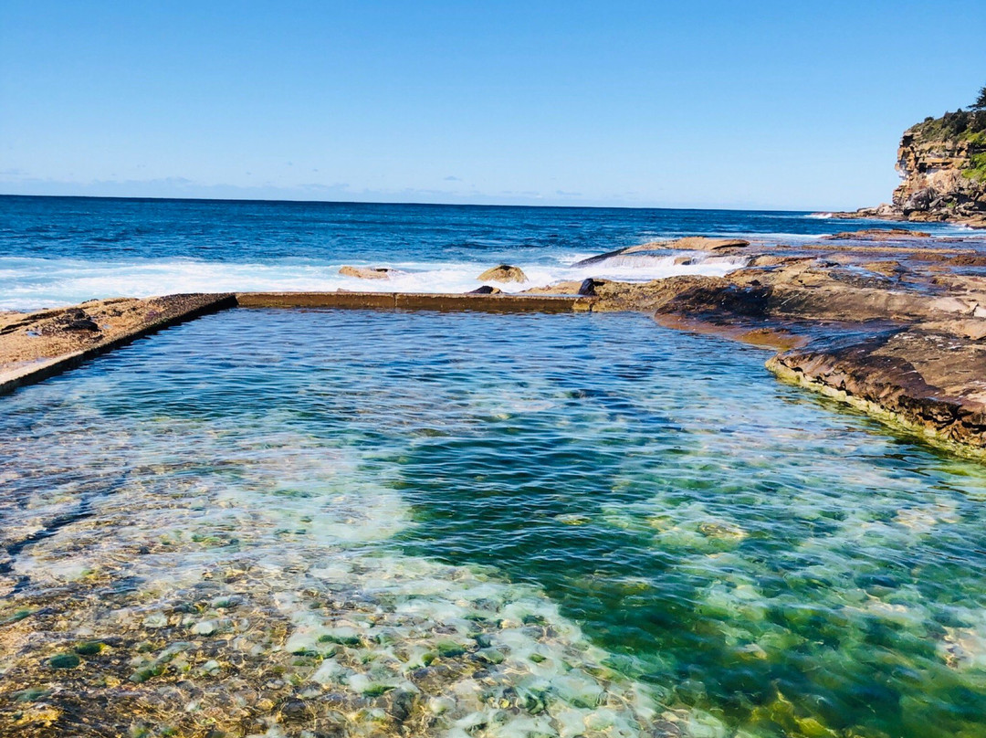 Dee Why Headland walk景点图片