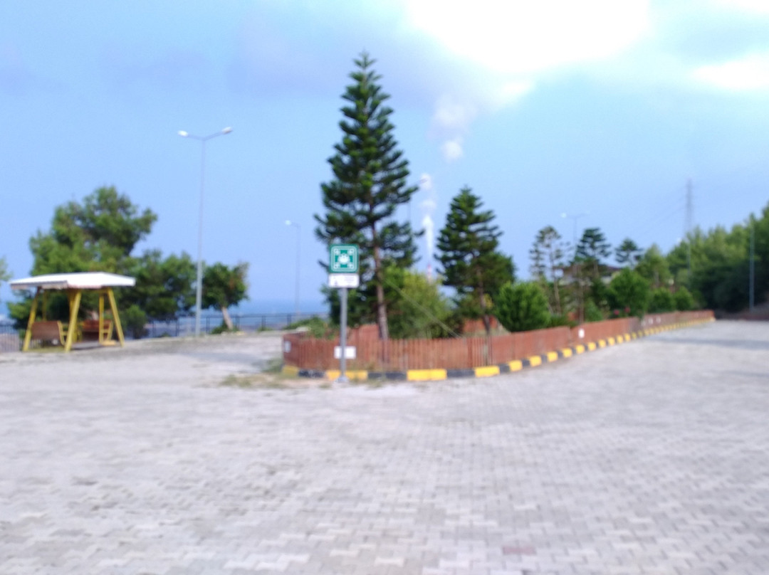 Sariseki Kanyon Park景点图片