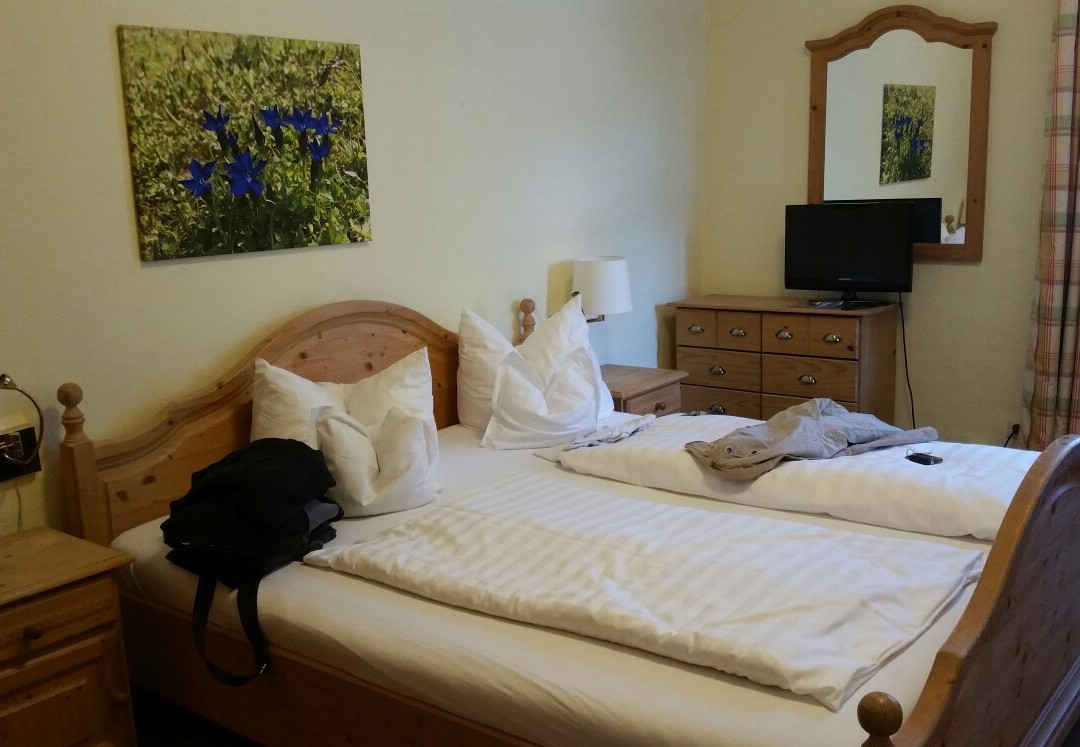 Solehotel Tannenhof主图