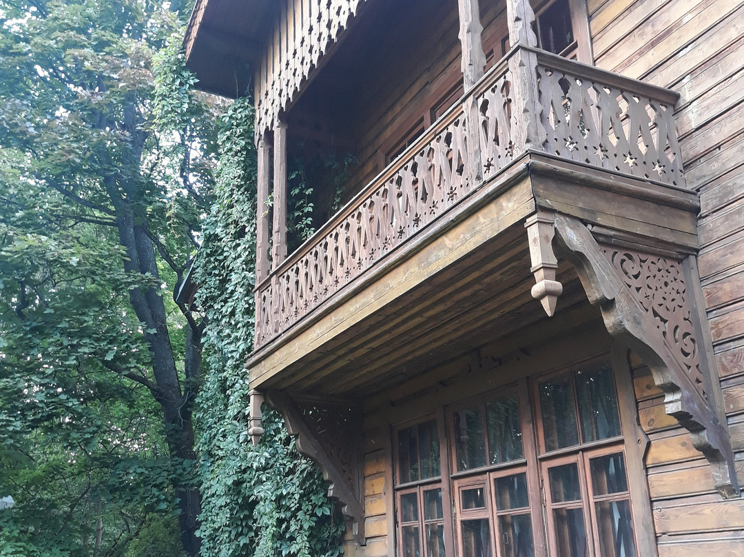 House Museum PP Chistyakov景点图片