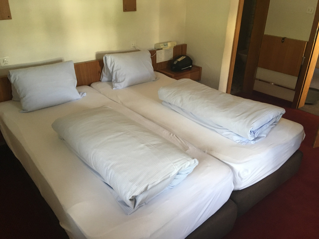 Hotel Piz Tambo主图