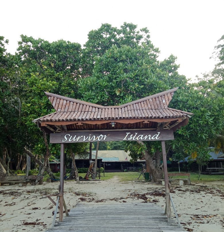 Survivor Island景点图片