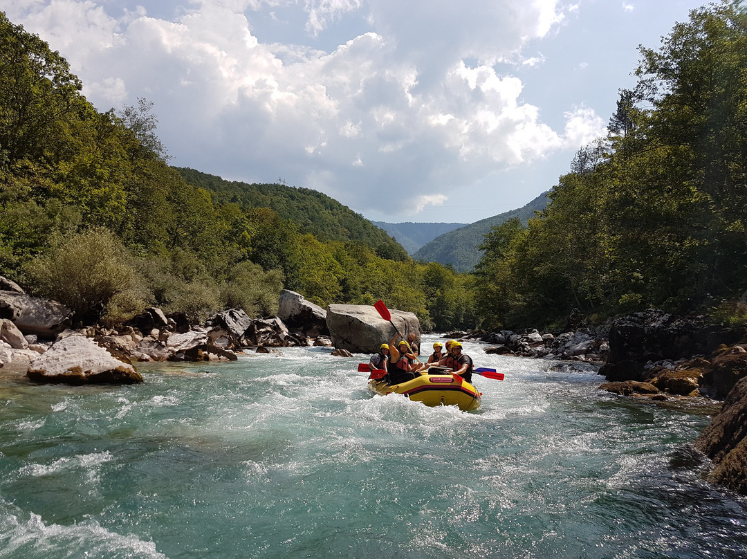 Tara Canyon Raft-Foca必去景点