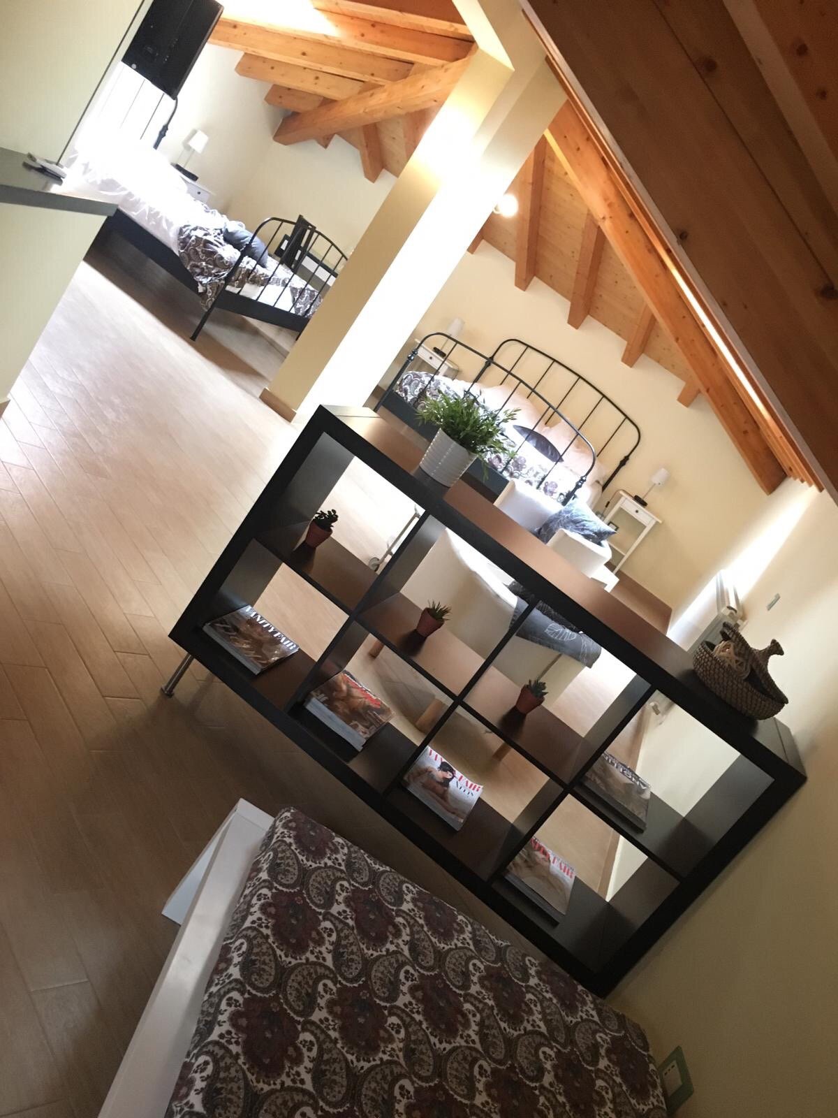 B&B Primaclasse-官方