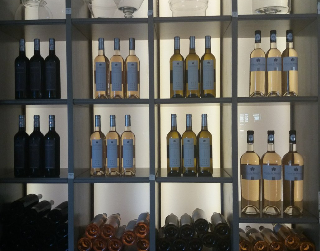 Domaine de Valdition景点图片