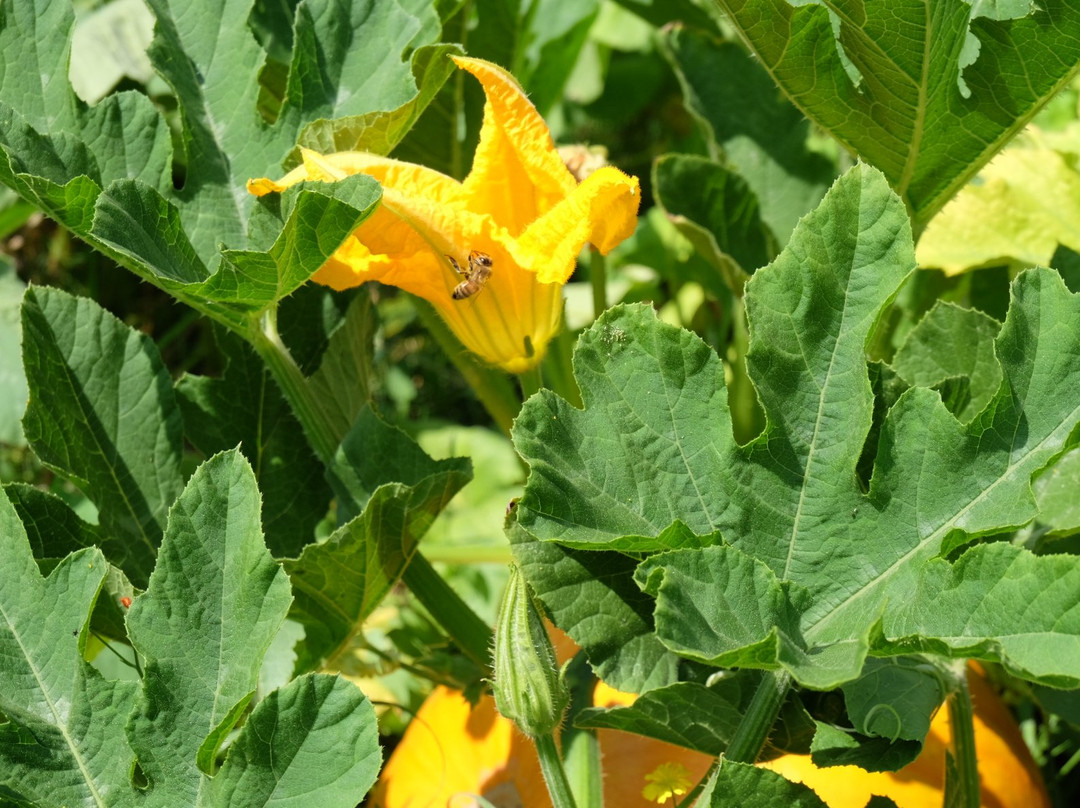 La Ferme de Leix主图