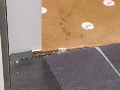 阿拉梅达中心酒店主图