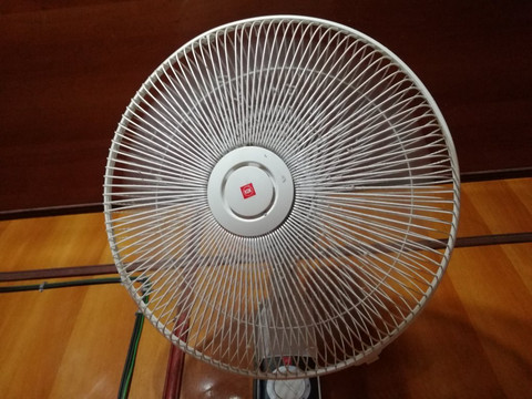 Flora Bay Resort主图