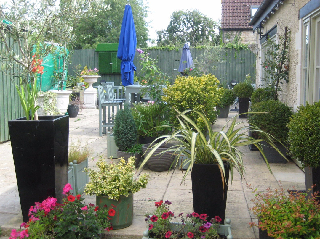 泰特伯里奥蒙德主图