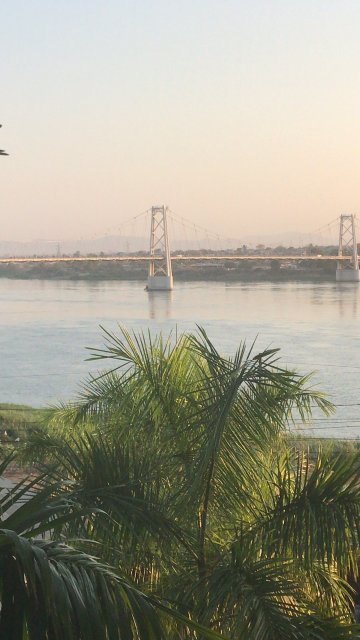 VIP Executive Tete-官方