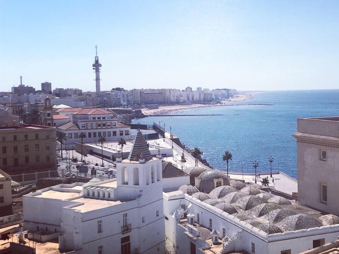 Andalucia Tours & Discovery-塞维利亚必去景点