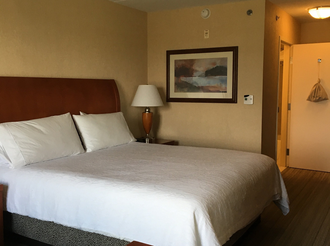 多伦多伯林顿希尔顿花园酒店主图