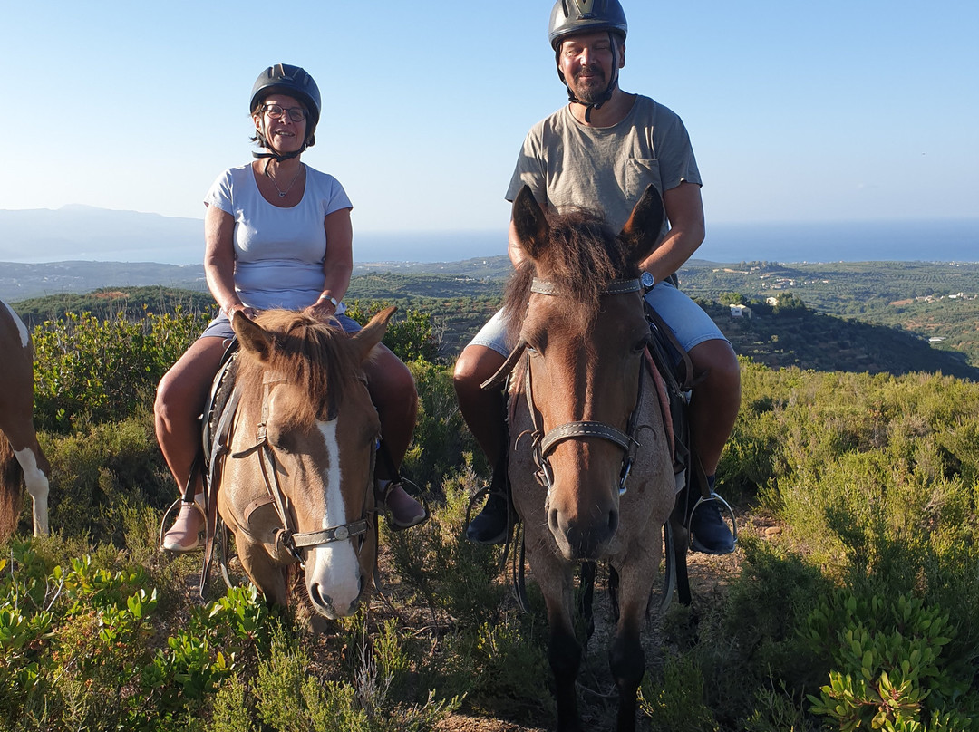 Deres Horse Riding Center景点图片