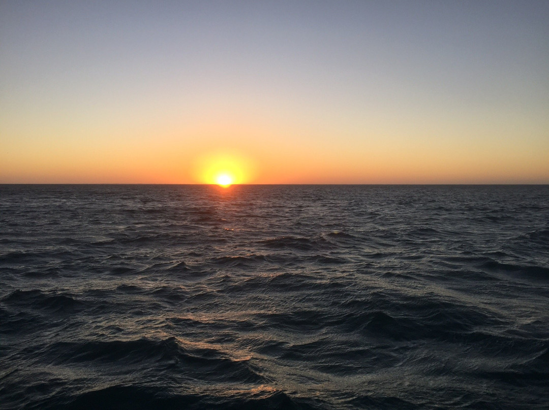 Sail Ningaloo - Shore Thing景点图片