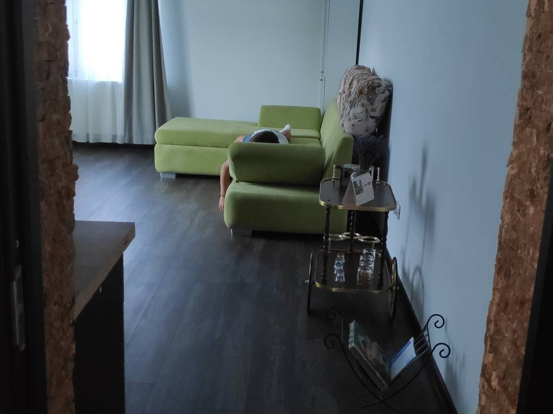 Magic Apartments Hunedoara主图