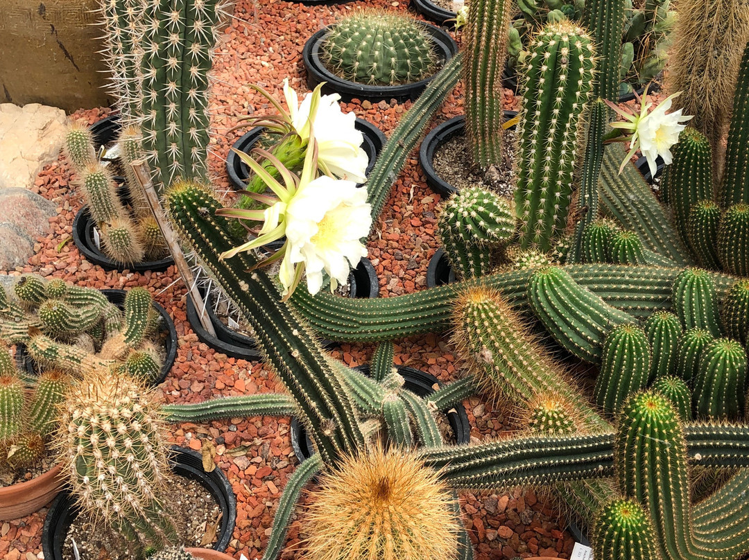 International Peace Garden-Dunseith必去景点