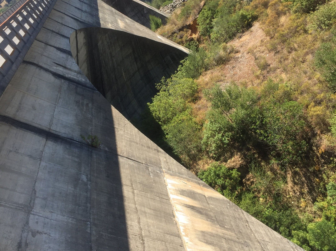 Barragem de Odivelas-Ferreira do Alentejo必去景点