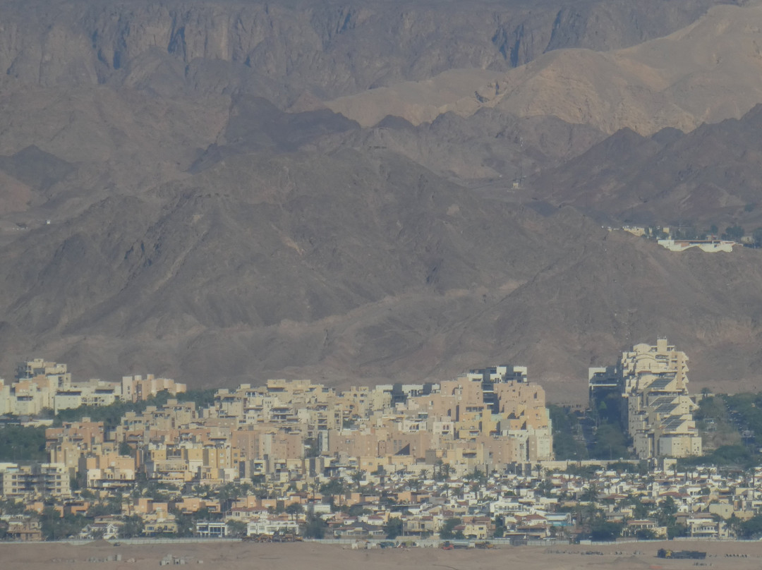 City Tower Hotel主图